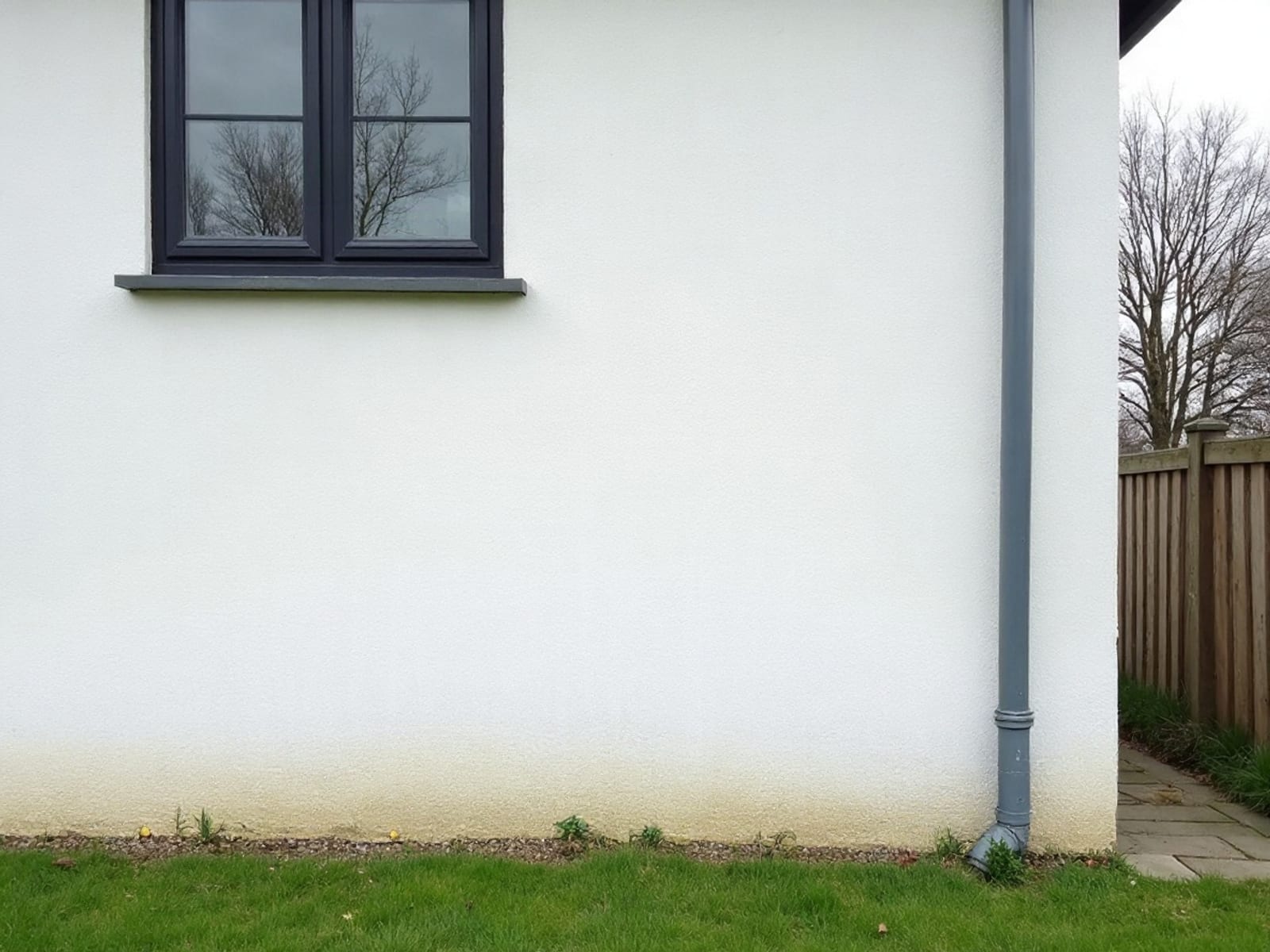Nordseitige Putzfassade mit Algenbewuchs – nach der Reinigung
